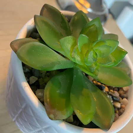 Agreable 2 Saint-Saulve